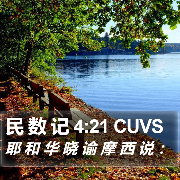 民 数 记 4:21 CUVS Bible Study