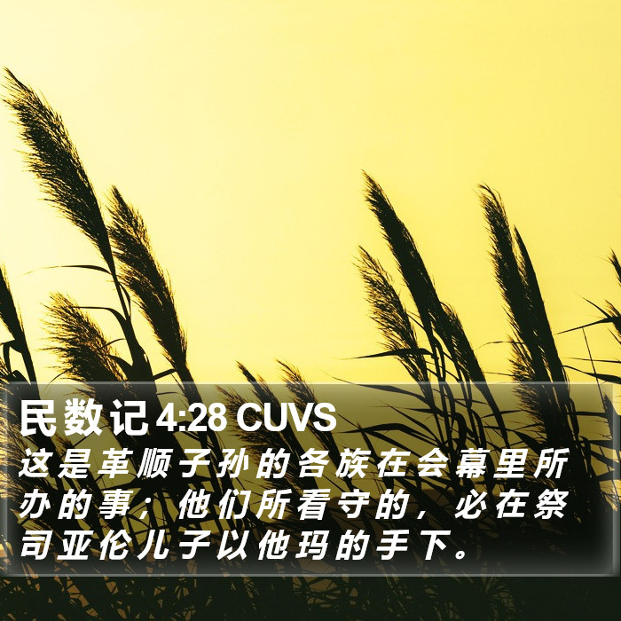 民 数 记 4:28 CUVS Bible Study