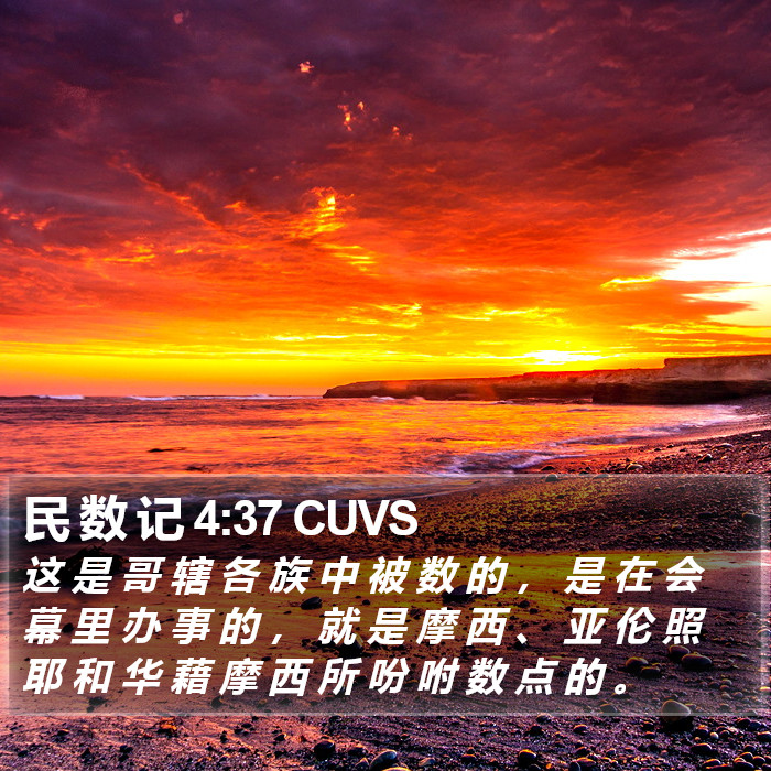 民 数 记 4:37 CUVS Bible Study