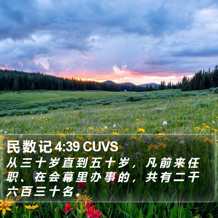 民 数 记 4:39 CUVS Bible Study