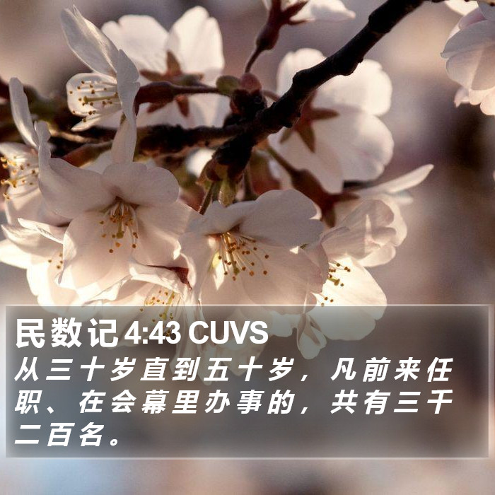 民 数 记 4:43 CUVS Bible Study