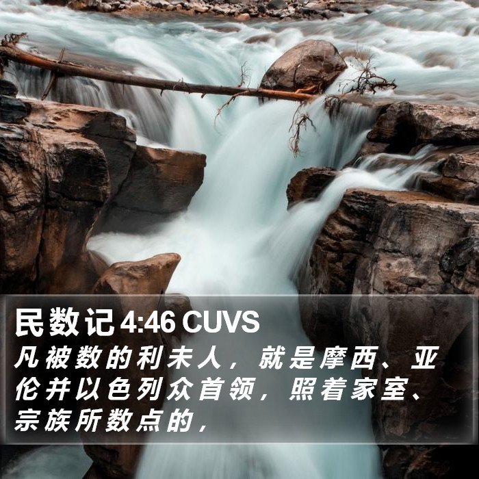 民 数 记 4:46 CUVS Bible Study