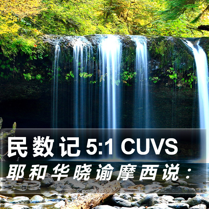 民 数 记 5:1 CUVS Bible Study