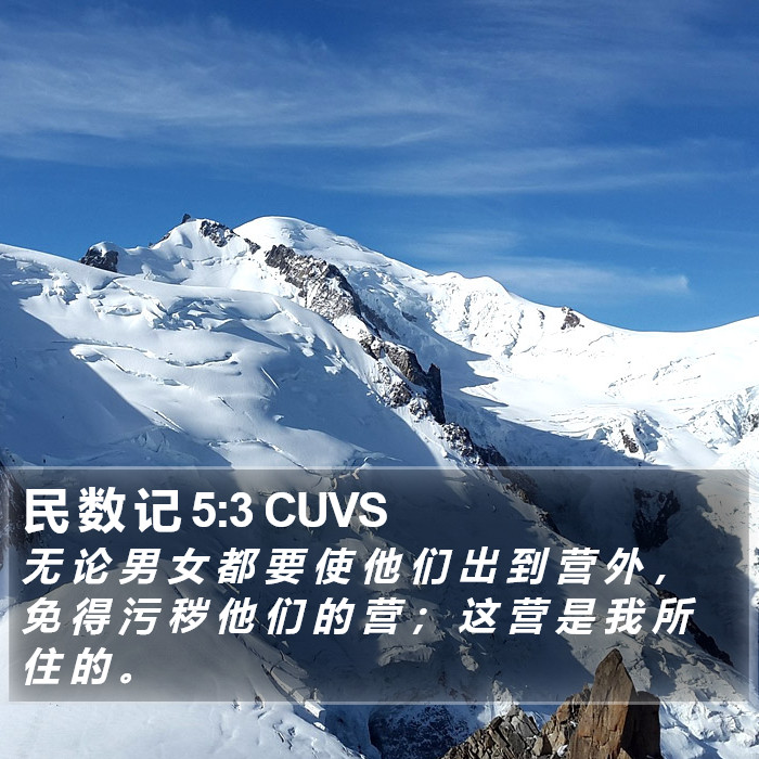 民 数 记 5:3 CUVS Bible Study
