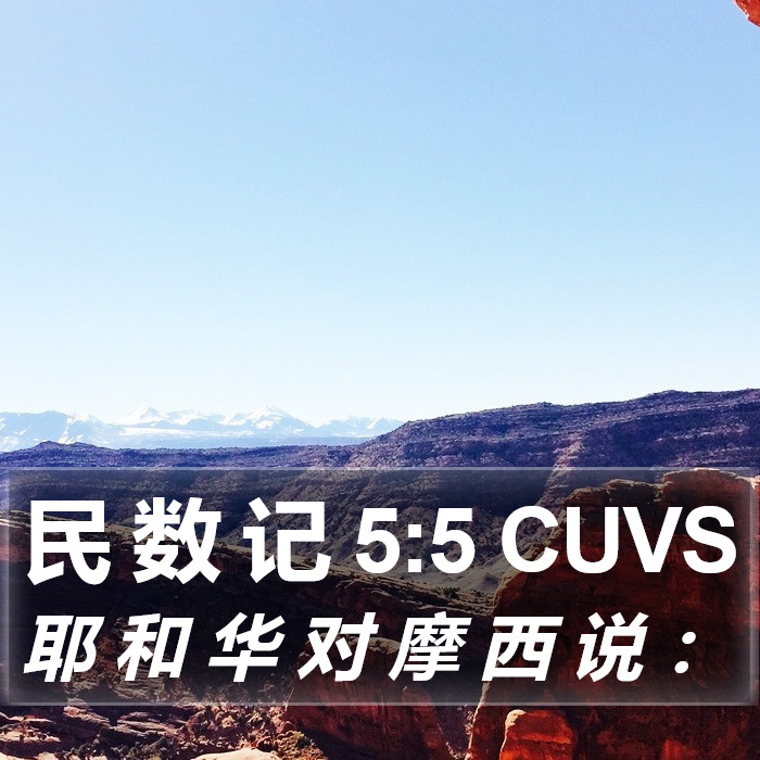 民 数 记 5:5 CUVS Bible Study