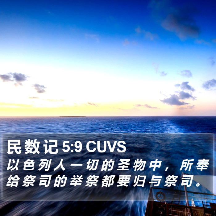 民 数 记 5:9 CUVS Bible Study