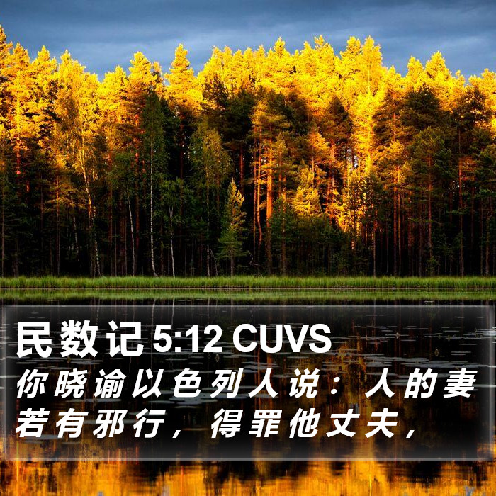 民 数 记 5:12 CUVS Bible Study