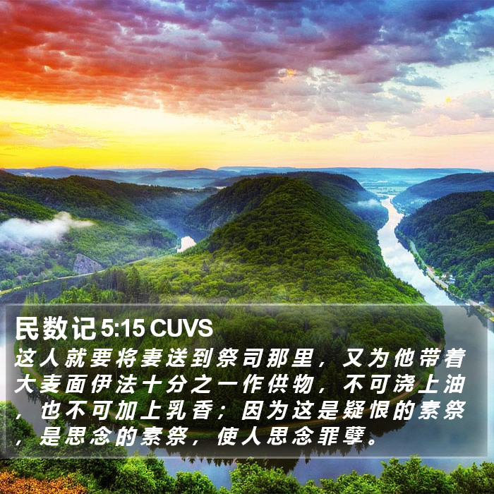民 数 记 5:15 CUVS Bible Study