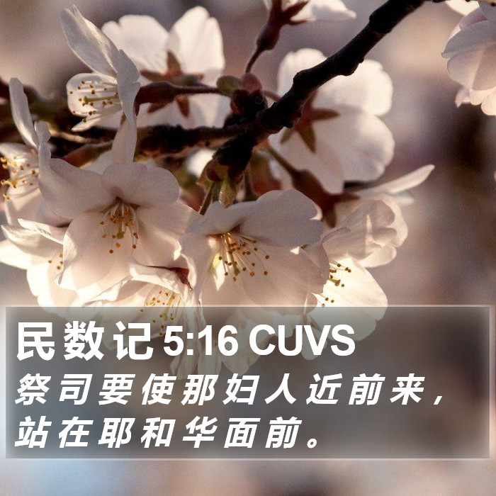 民 数 记 5:16 CUVS Bible Study