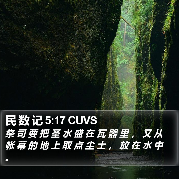 民 数 记 5:17 CUVS Bible Study