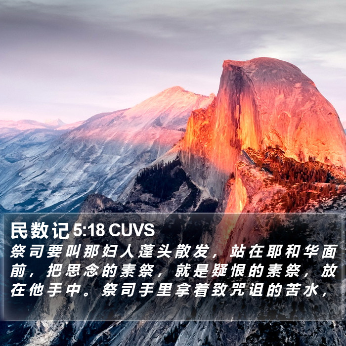 民 数 记 5:18 CUVS Bible Study