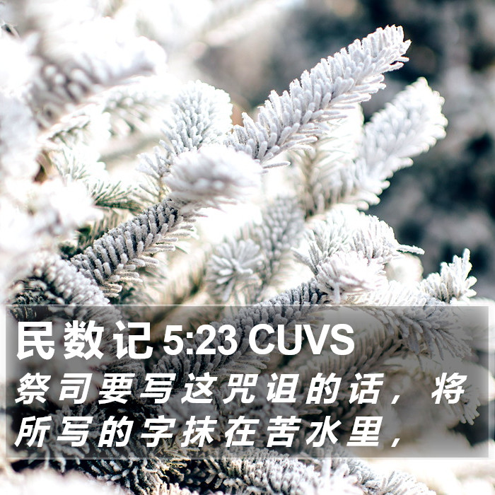 民 数 记 5:23 CUVS Bible Study