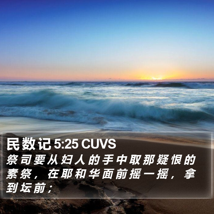 民 数 记 5:25 CUVS Bible Study