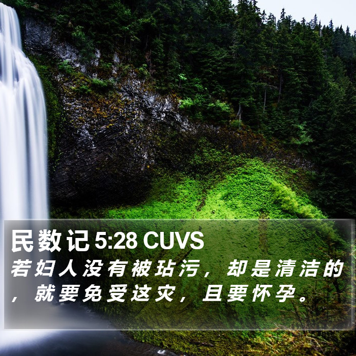 民 数 记 5:28 CUVS Bible Study