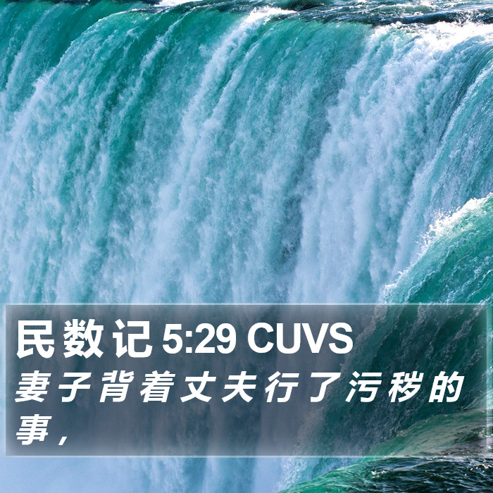 民 数 记 5:29 CUVS Bible Study