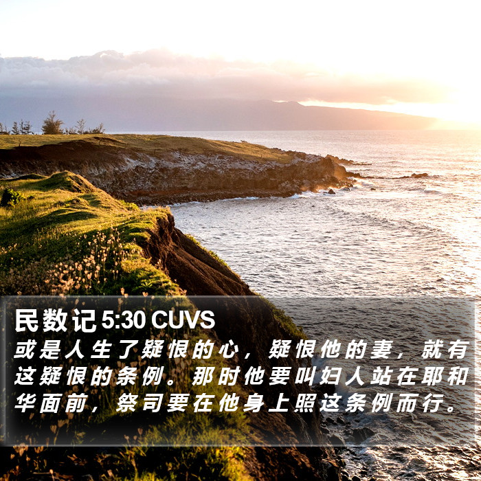 民 数 记 5:30 CUVS Bible Study