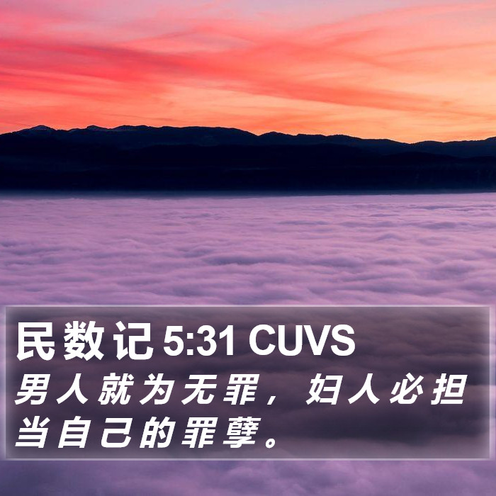 民 数 记 5:31 CUVS Bible Study
