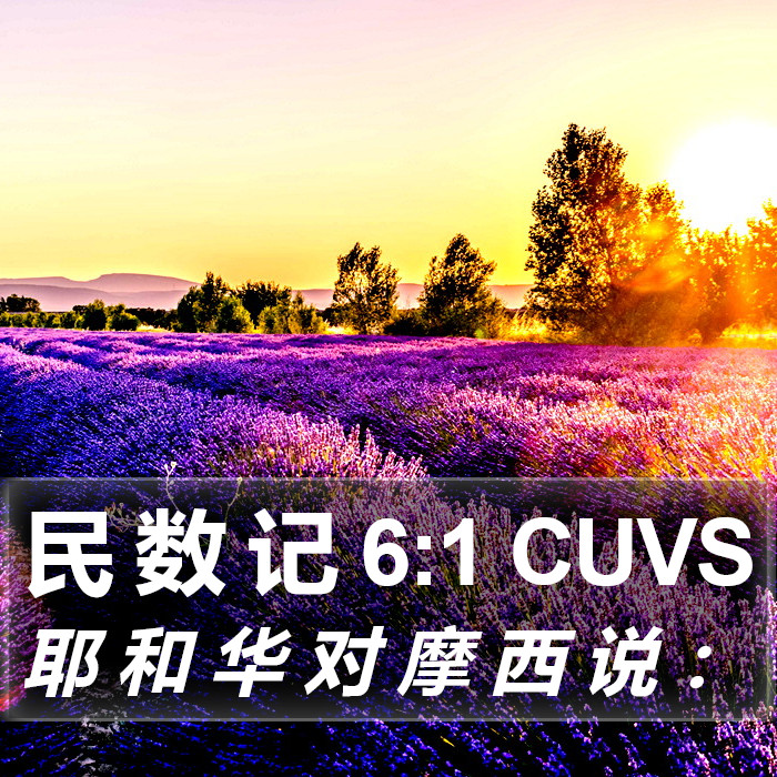 民 数 记 6:1 CUVS Bible Study