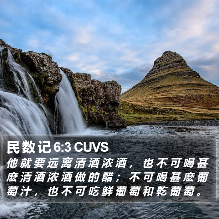 民 数 记 6:3 CUVS Bible Study