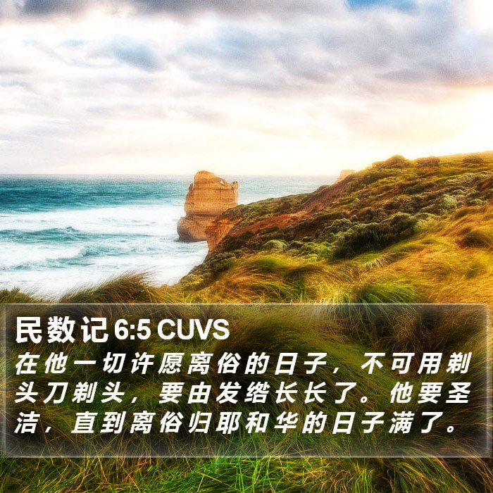 民 数 记 6:5 CUVS Bible Study