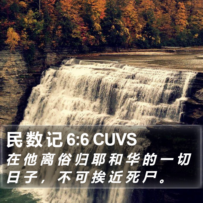 民 数 记 6:6 CUVS Bible Study