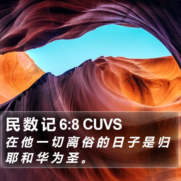 民 数 记 6:8 CUVS Bible Study