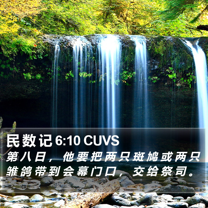 民 数 记 6:10 CUVS Bible Study