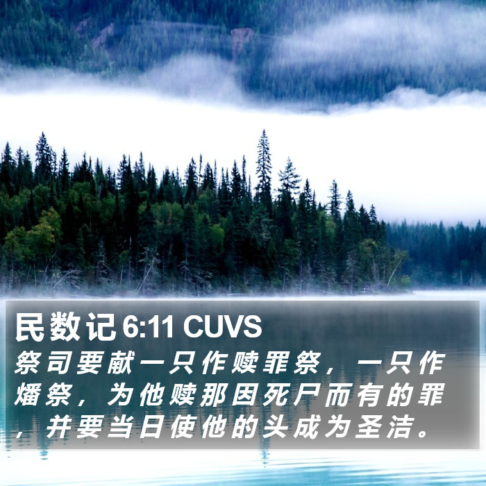 民 数 记 6:11 CUVS Bible Study