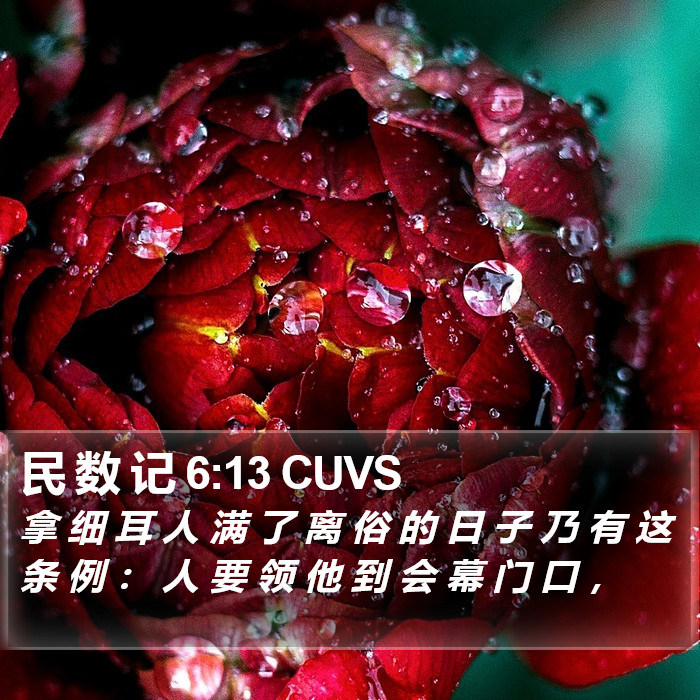 民 数 记 6:13 CUVS Bible Study