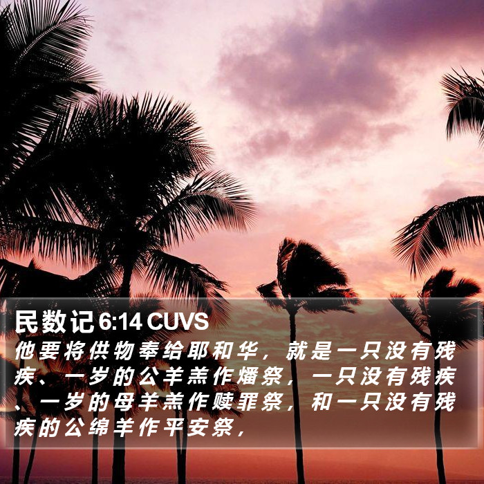 民 数 记 6:14 CUVS Bible Study