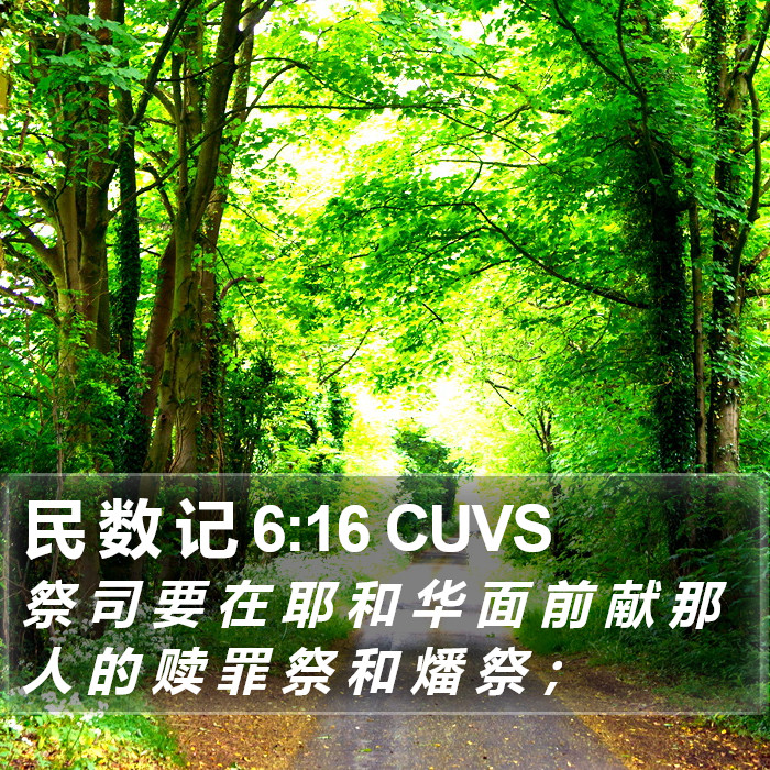 民 数 记 6:16 CUVS Bible Study