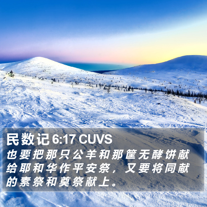 民 数 记 6:17 CUVS Bible Study