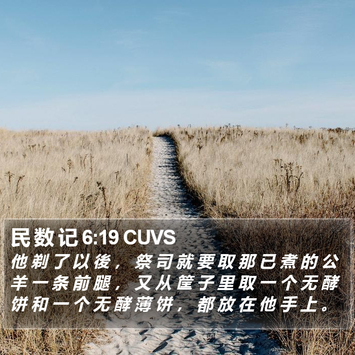 民 数 记 6:19 CUVS Bible Study