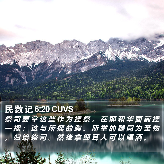 民 数 记 6:20 CUVS Bible Study