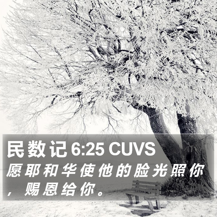 民 数 记 6:25 CUVS Bible Study