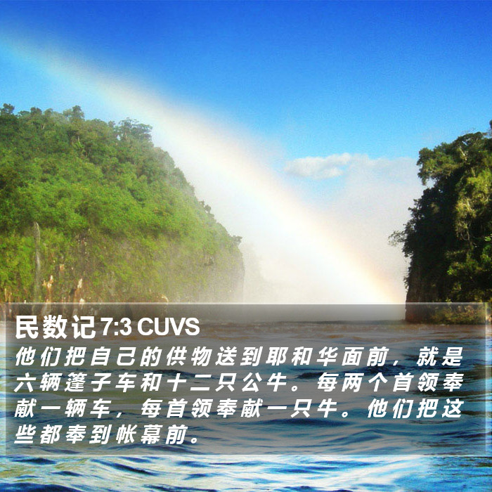 民 数 记 7:3 CUVS Bible Study
