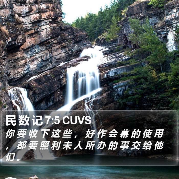 民 数 记 7:5 CUVS Bible Study