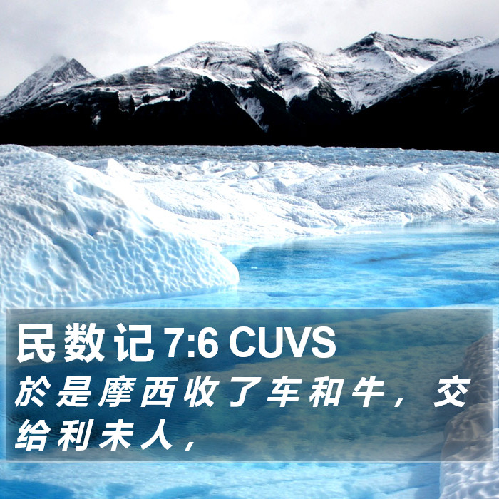 民 数 记 7:6 CUVS Bible Study