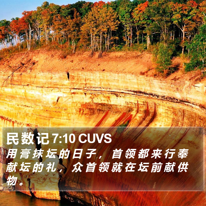民 数 记 7:10 CUVS Bible Study