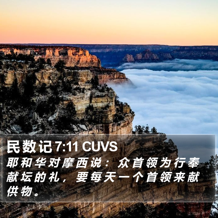 民 数 记 7:11 CUVS Bible Study