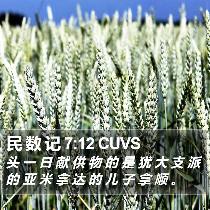 民 数 记 7:12 CUVS Bible Study