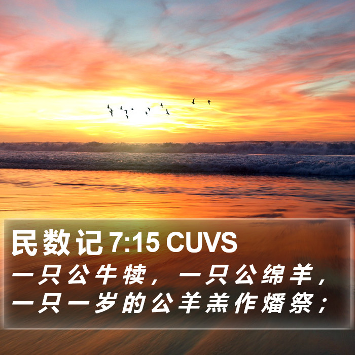 民 数 记 7:15 CUVS Bible Study