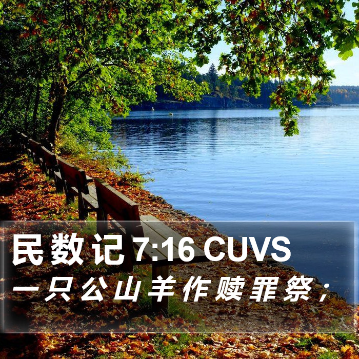 民 数 记 7:16 CUVS Bible Study