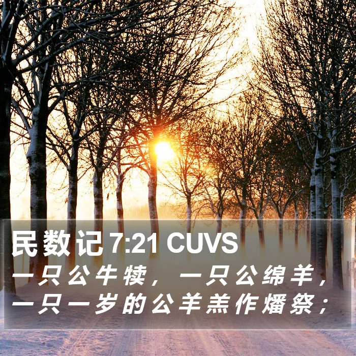 民 数 记 7:21 CUVS Bible Study