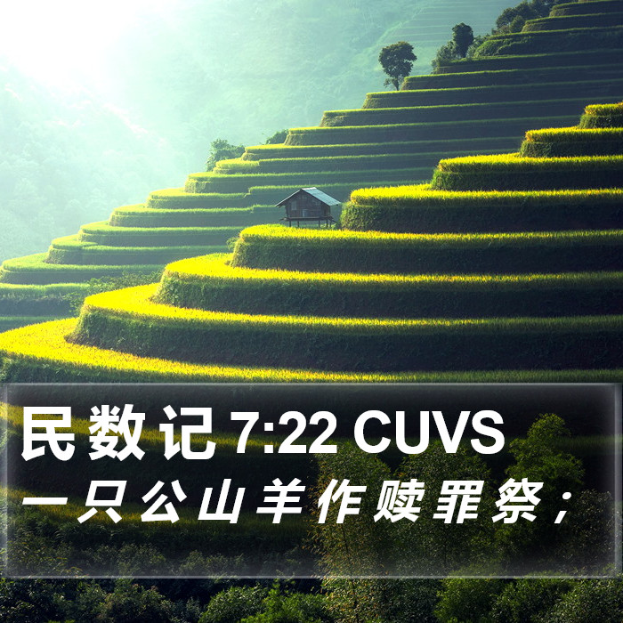 民 数 记 7:22 CUVS Bible Study