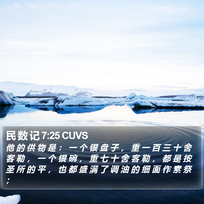 民 数 记 7:25 CUVS Bible Study