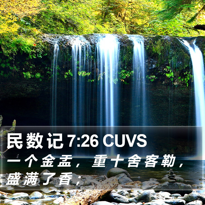 民 数 记 7:26 CUVS Bible Study