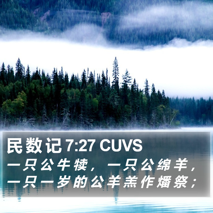 民 数 记 7:27 CUVS Bible Study