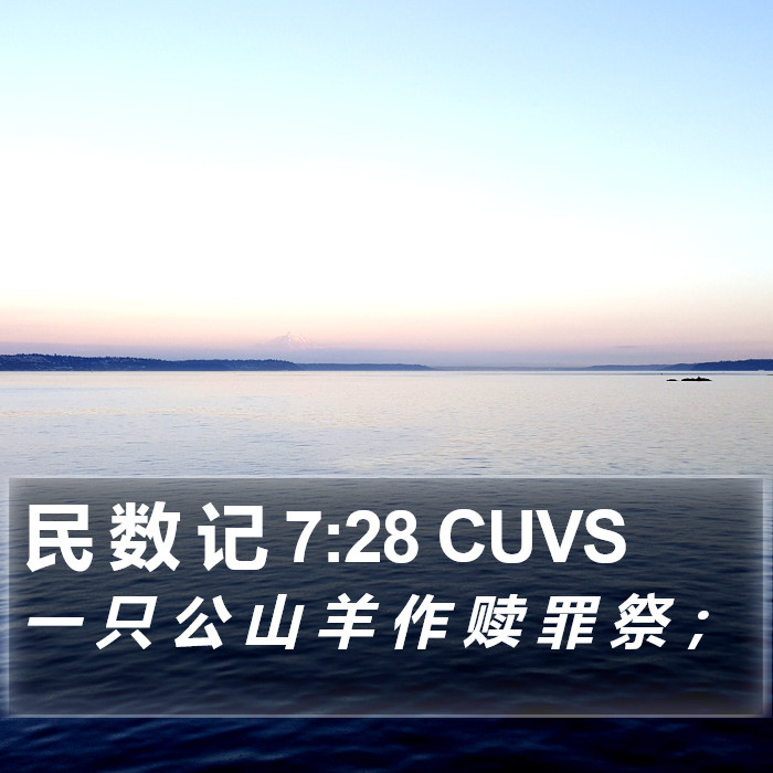 民 数 记 7:28 CUVS Bible Study