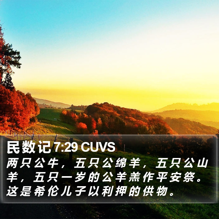 民 数 记 7:29 CUVS Bible Study